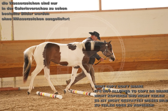 s_A_901311.JPG